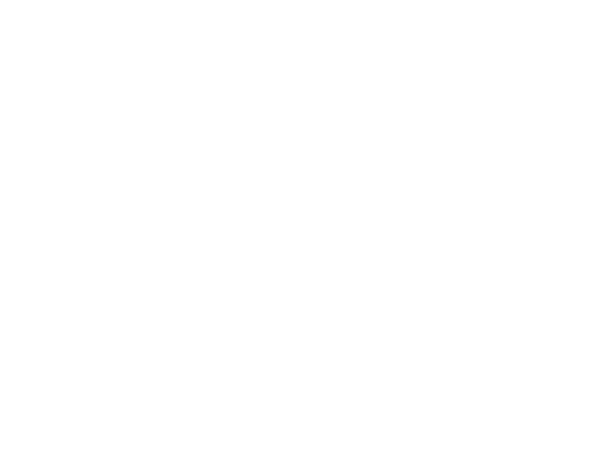 MDFisio